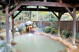 平湯温泉：平湯の湯