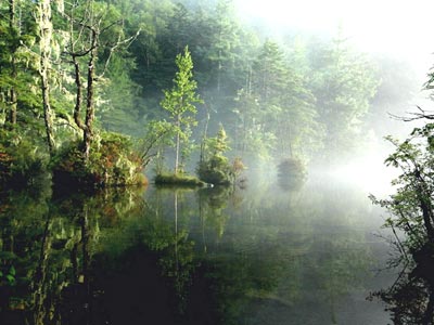 自然の造形が美しい観光名勝「明神池」