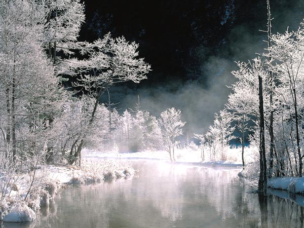 霧氷に囲まれる田代池